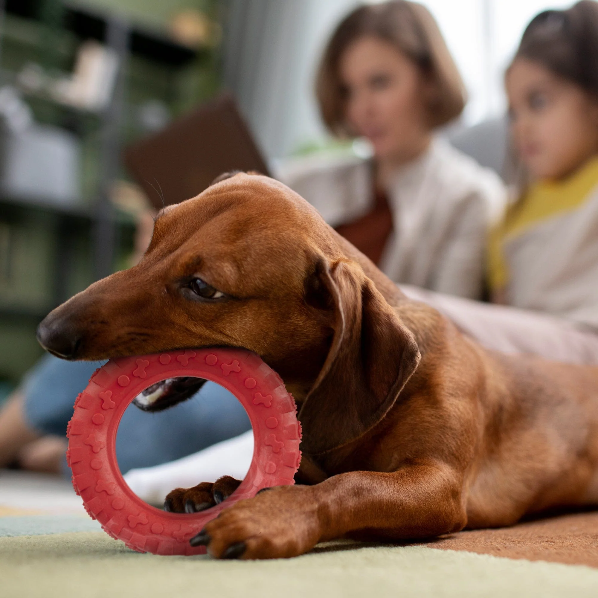 Rubber Tire Toy - Image 3