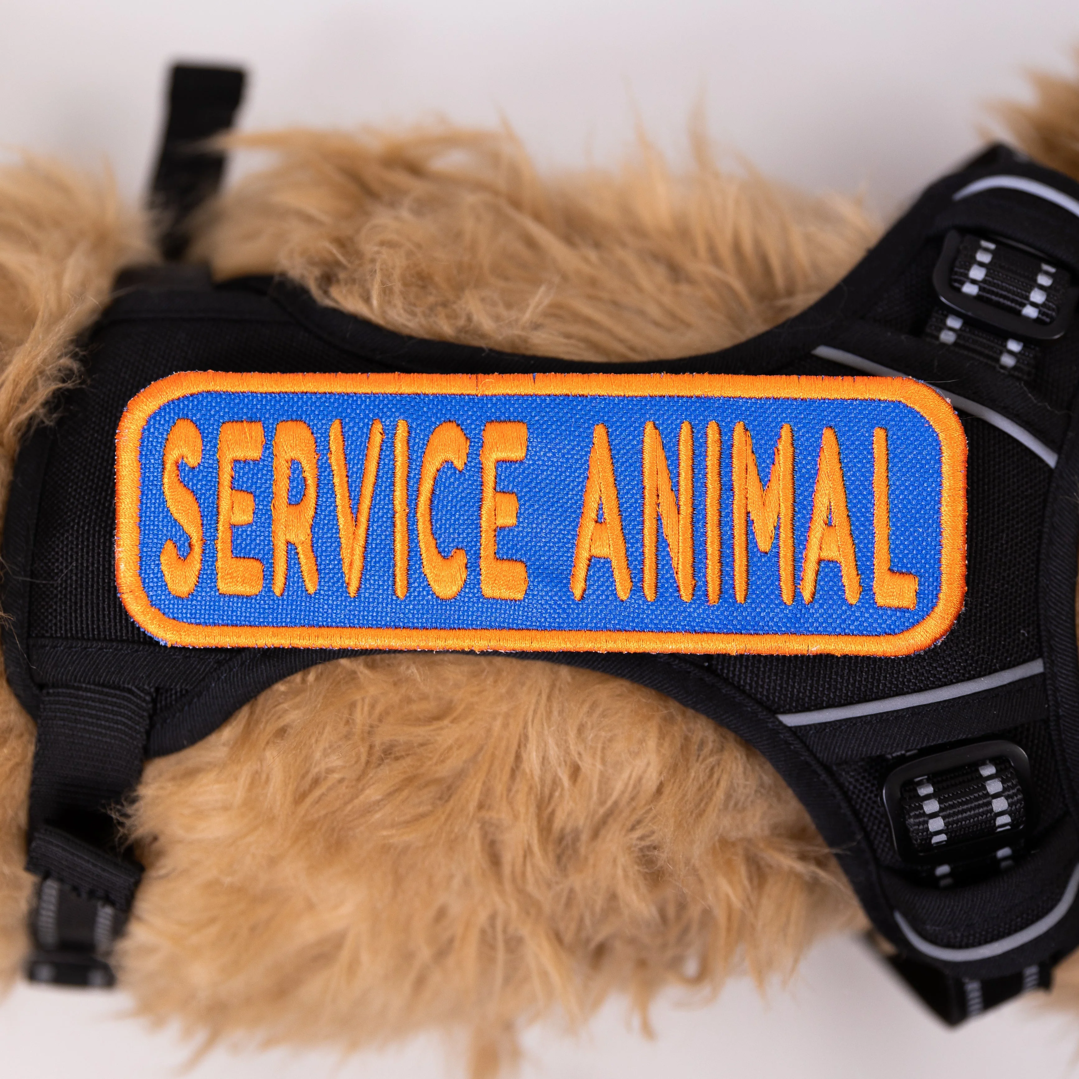 Service Animal 2x6 Patch - Image 3