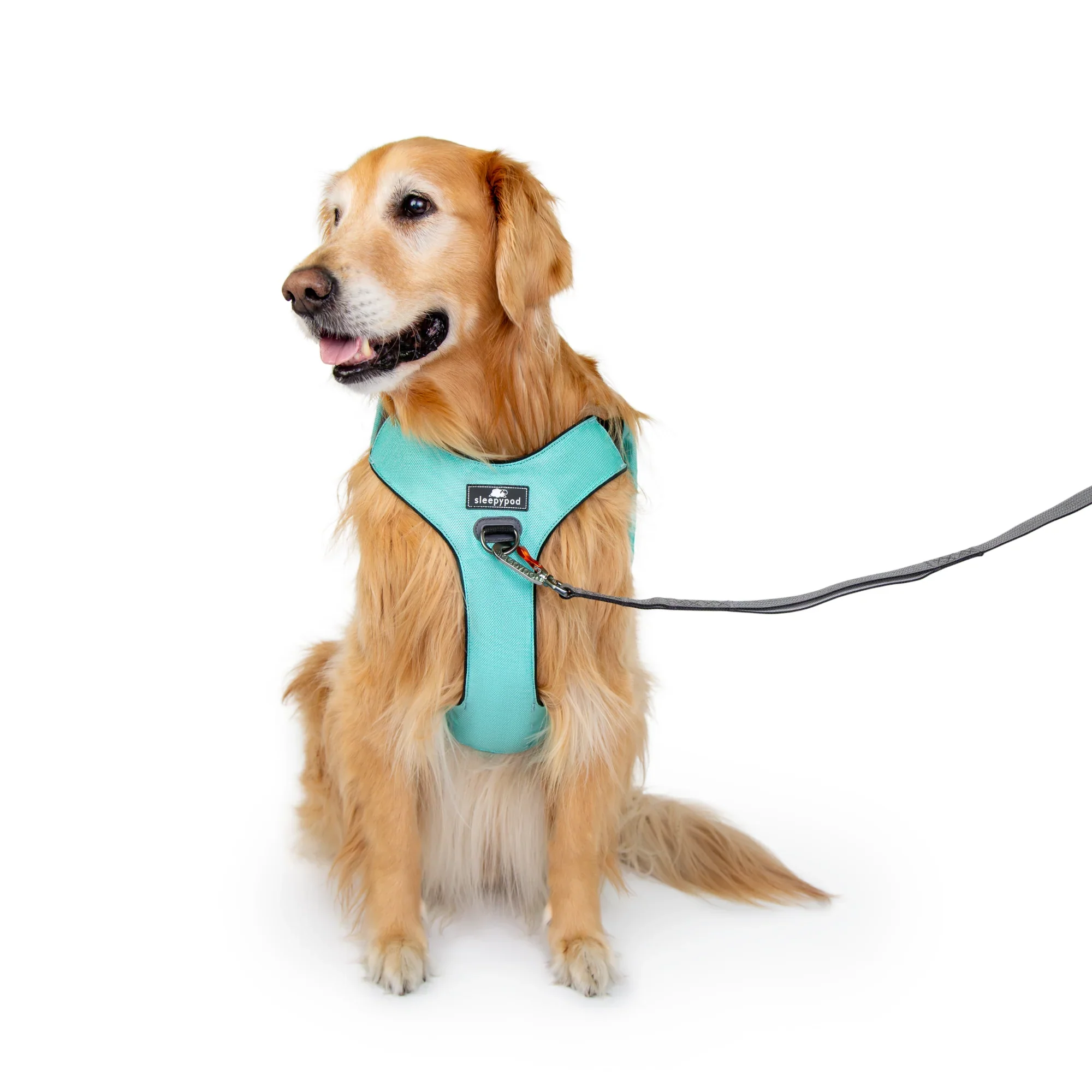 Sleepypod Clickit Range Harness - Next Generation Car Safety - Image 10