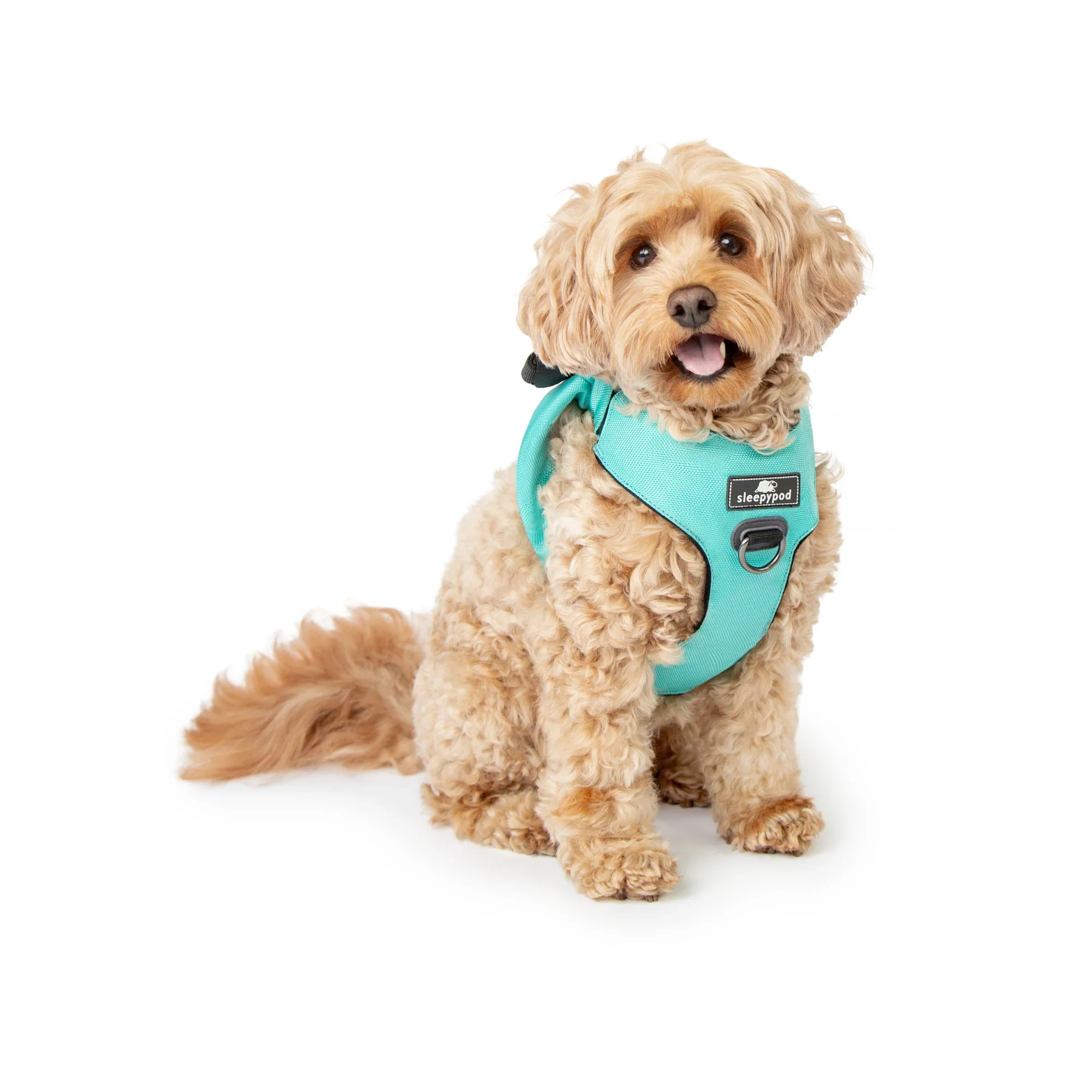 Sleepypod Clickit Range Harness - Next Generation Car Safety - Image 11