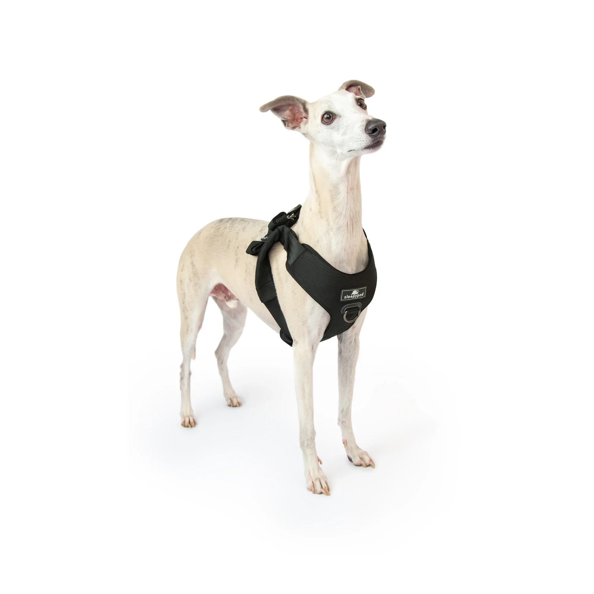 Sleepypod Clickit Range Harness - Next Generation Car Safety - Image 12