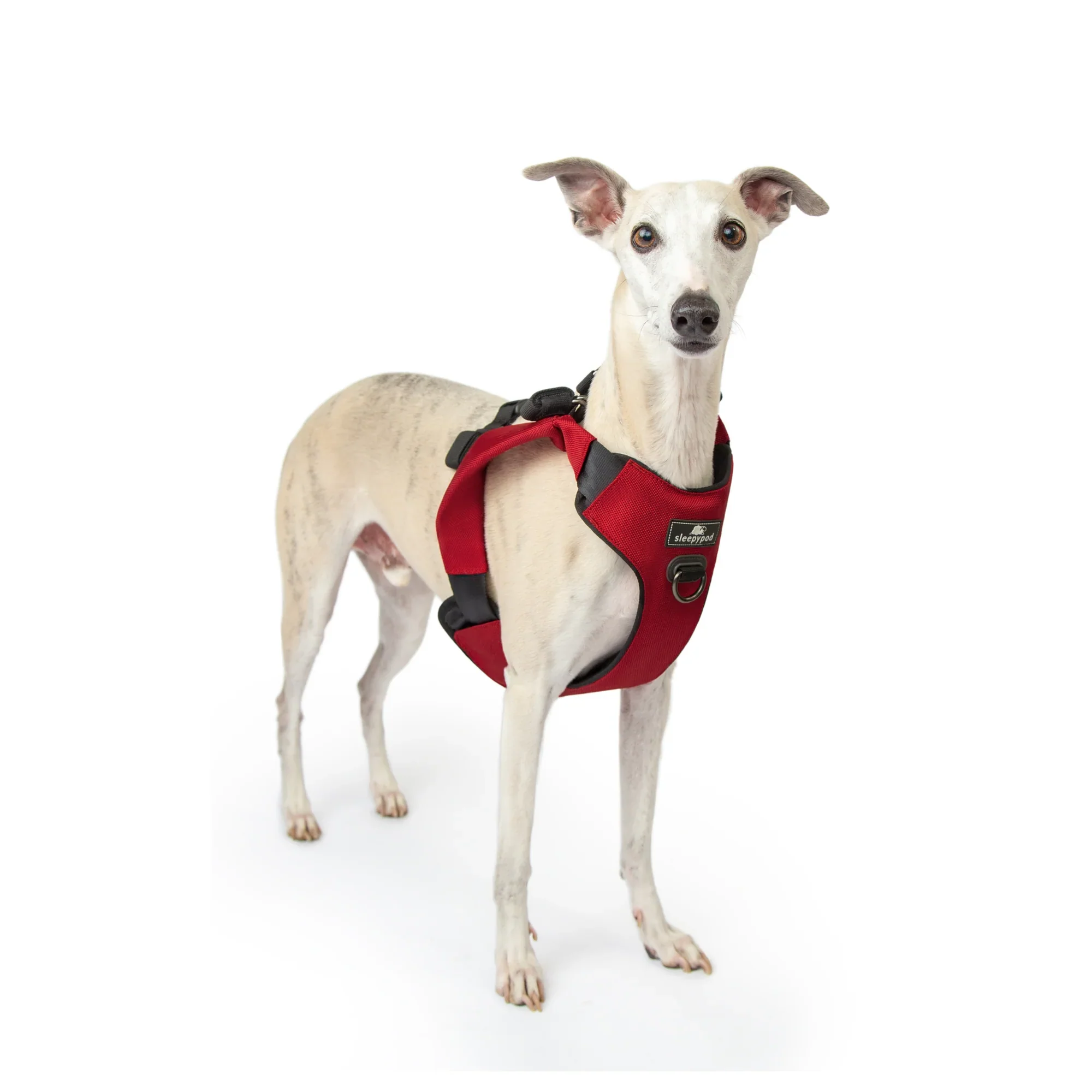 Sleepypod Clickit Range Harness - Next Generation Car Safety - Image 13