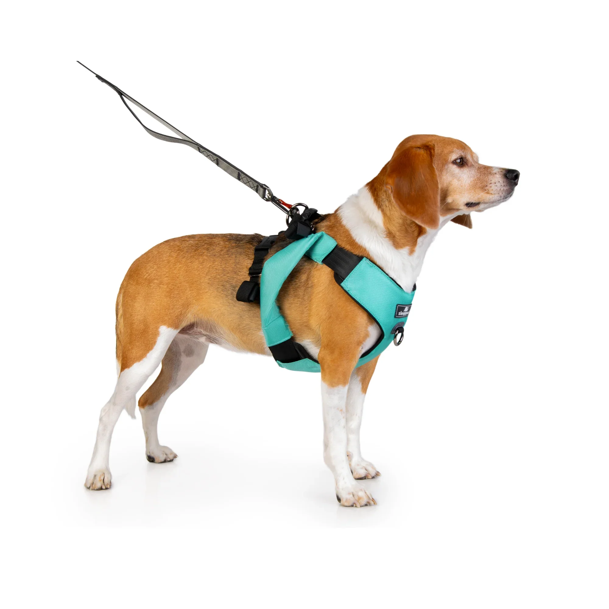 Sleepypod Clickit Range Harness - Next Generation Car Safety - Image 14