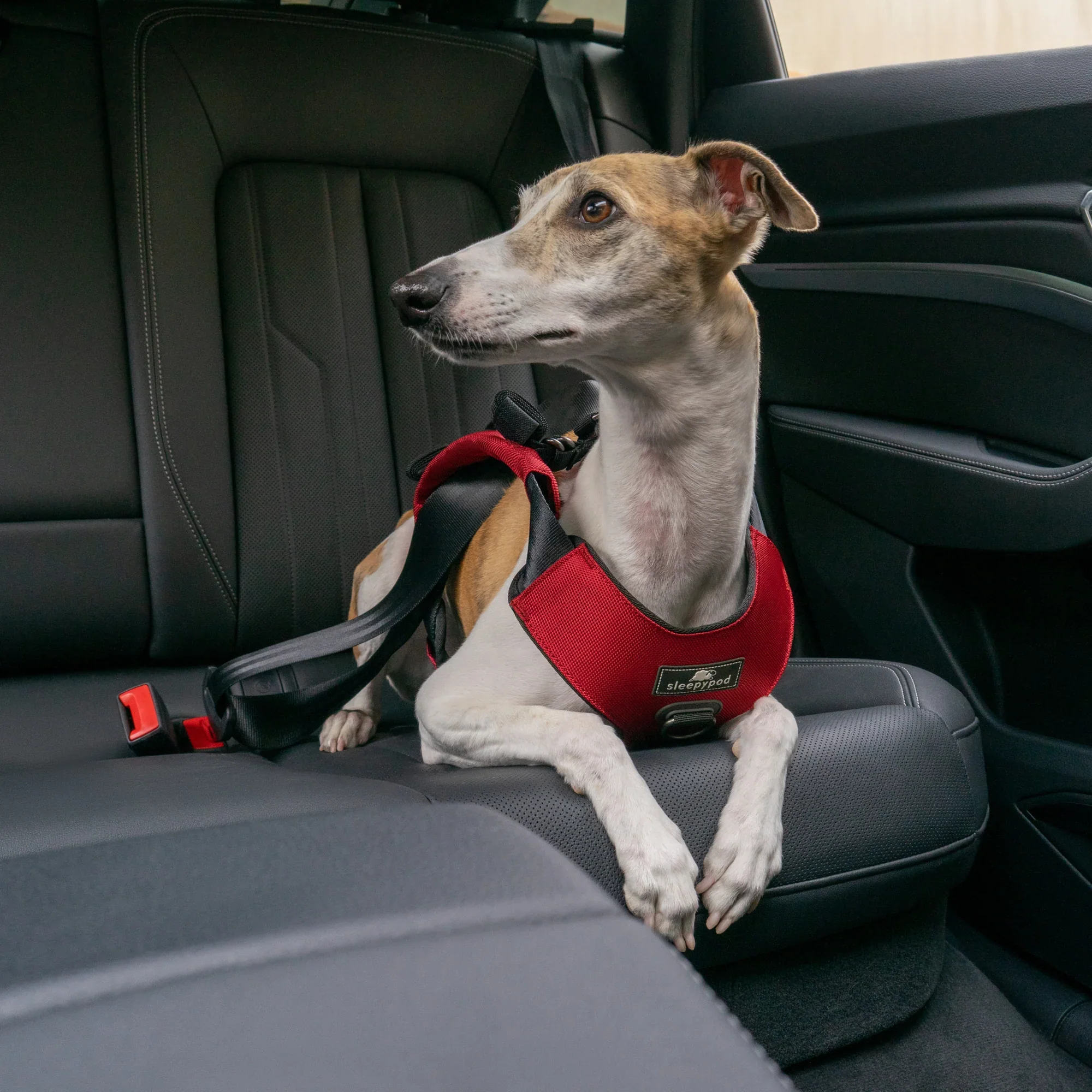 Sleepypod Clickit Range Harness - Next Generation Car Safety - Image 15