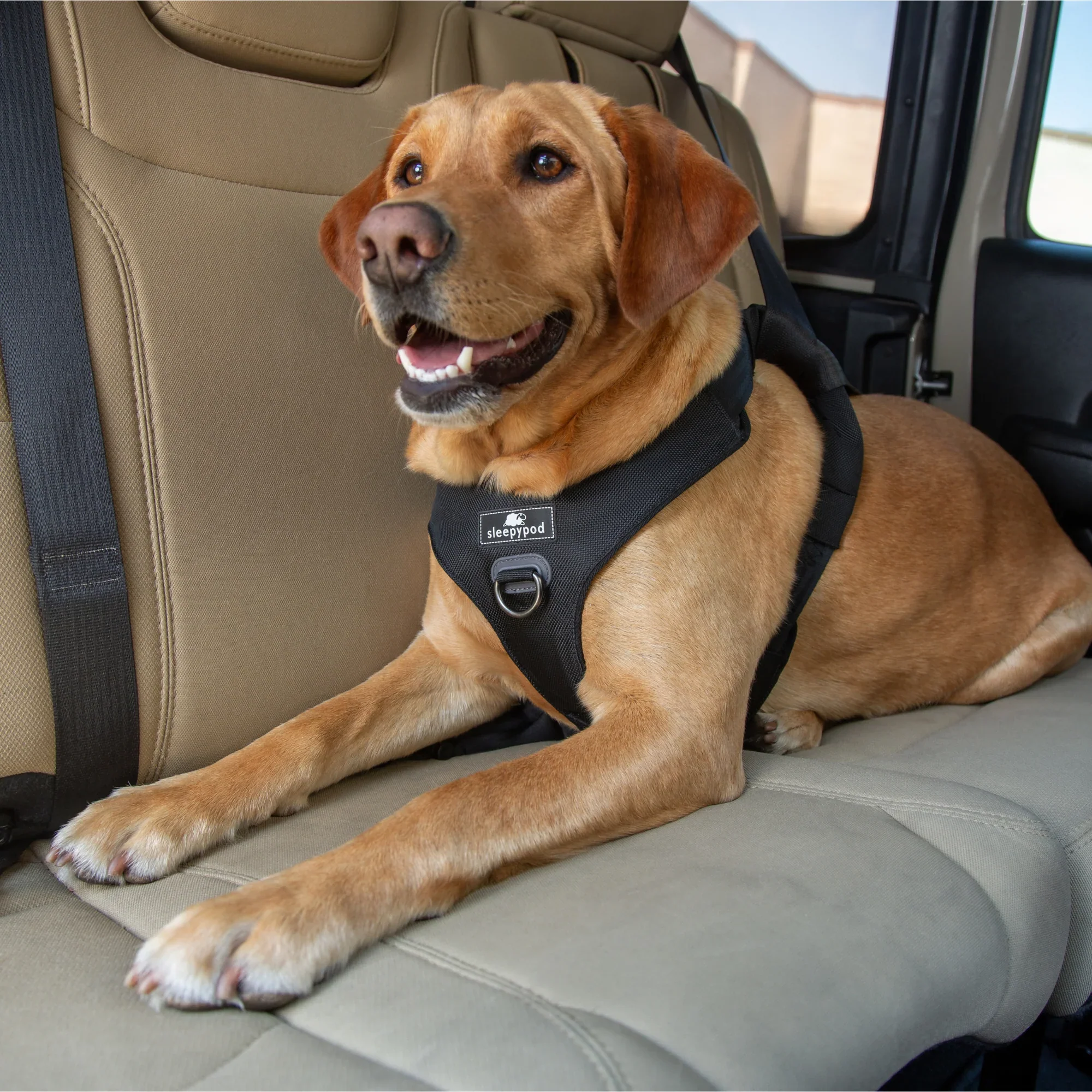 Sleepypod Clickit Range Harness - Next Generation Car Safety - Image 17