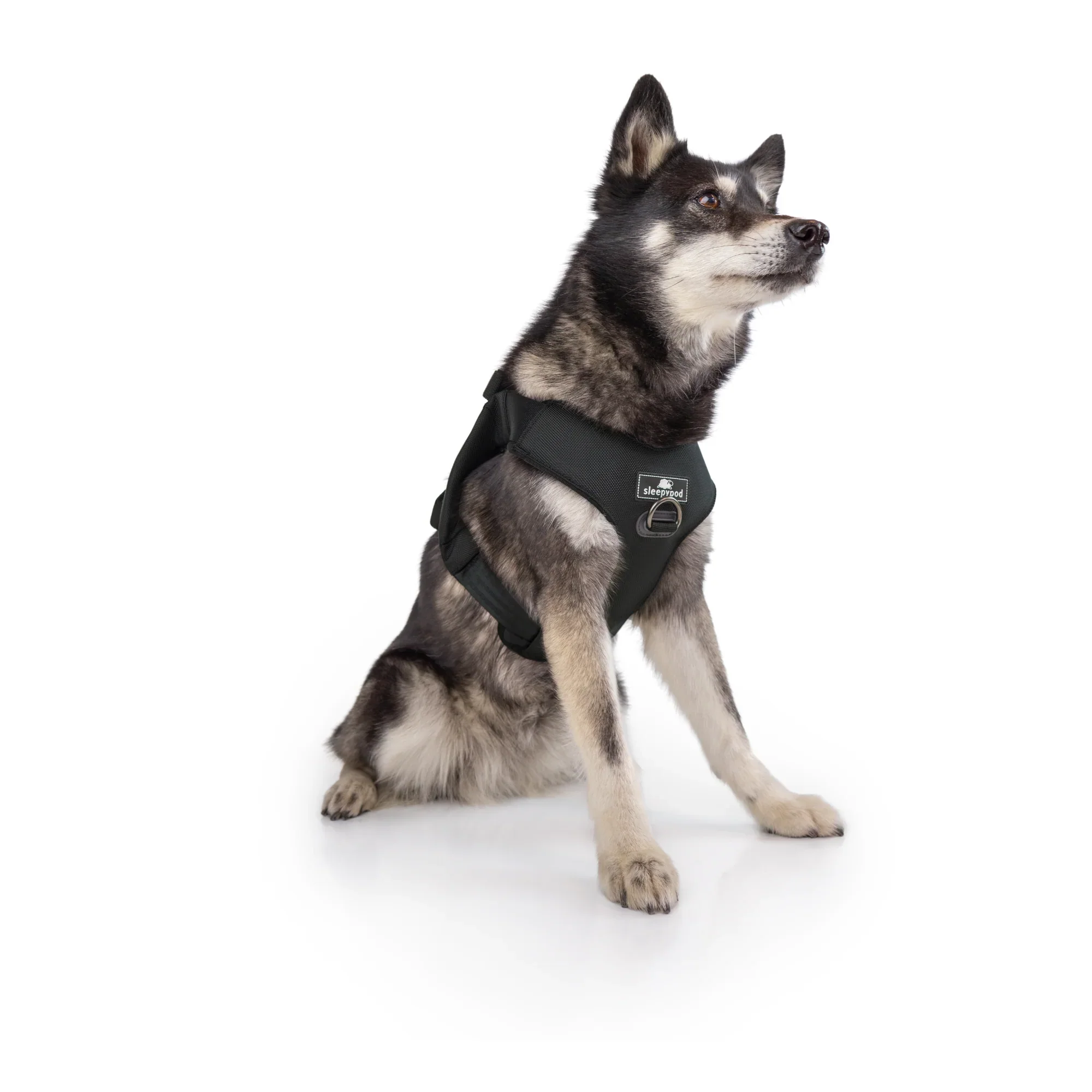 Sleepypod Clickit Range Harness - Next Generation Car Safety - Image 18