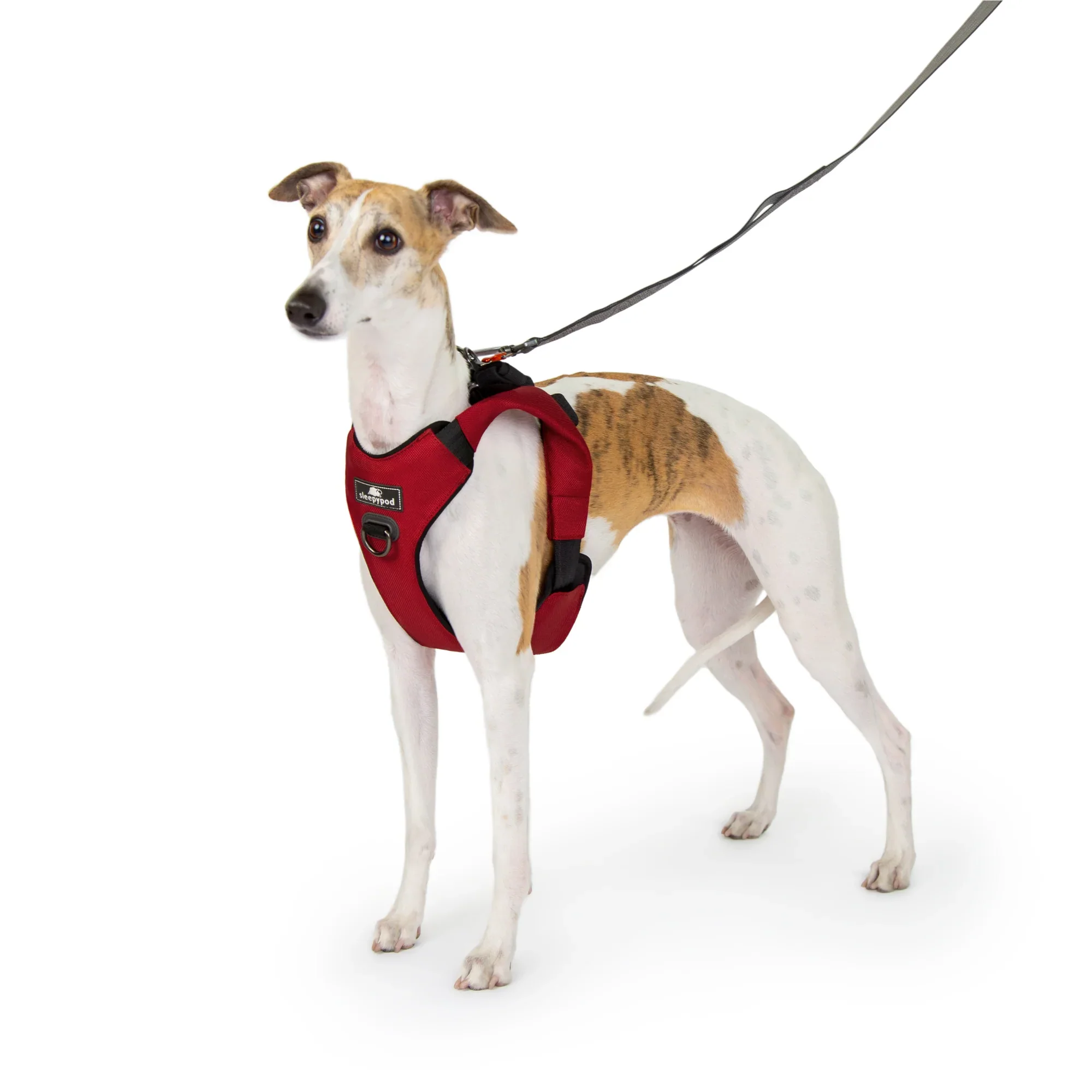 Sleepypod Clickit Range Harness - Next Generation Car Safety - Image 23