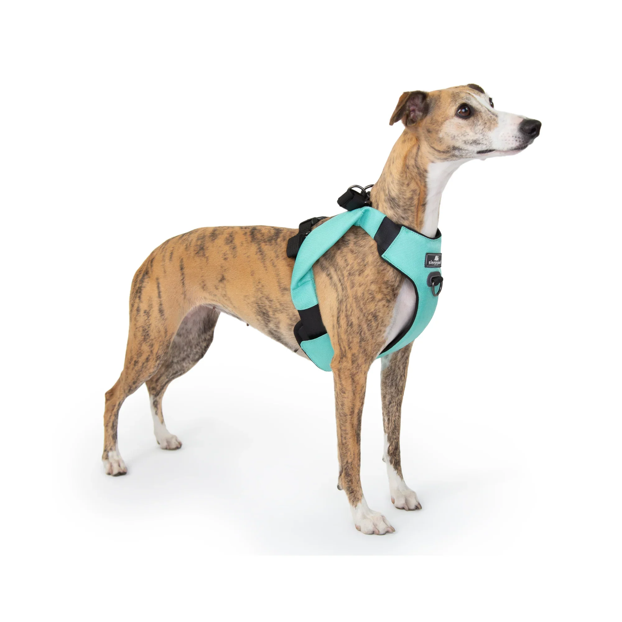 Sleepypod Clickit Range Harness - Next Generation Car Safety - Image 24