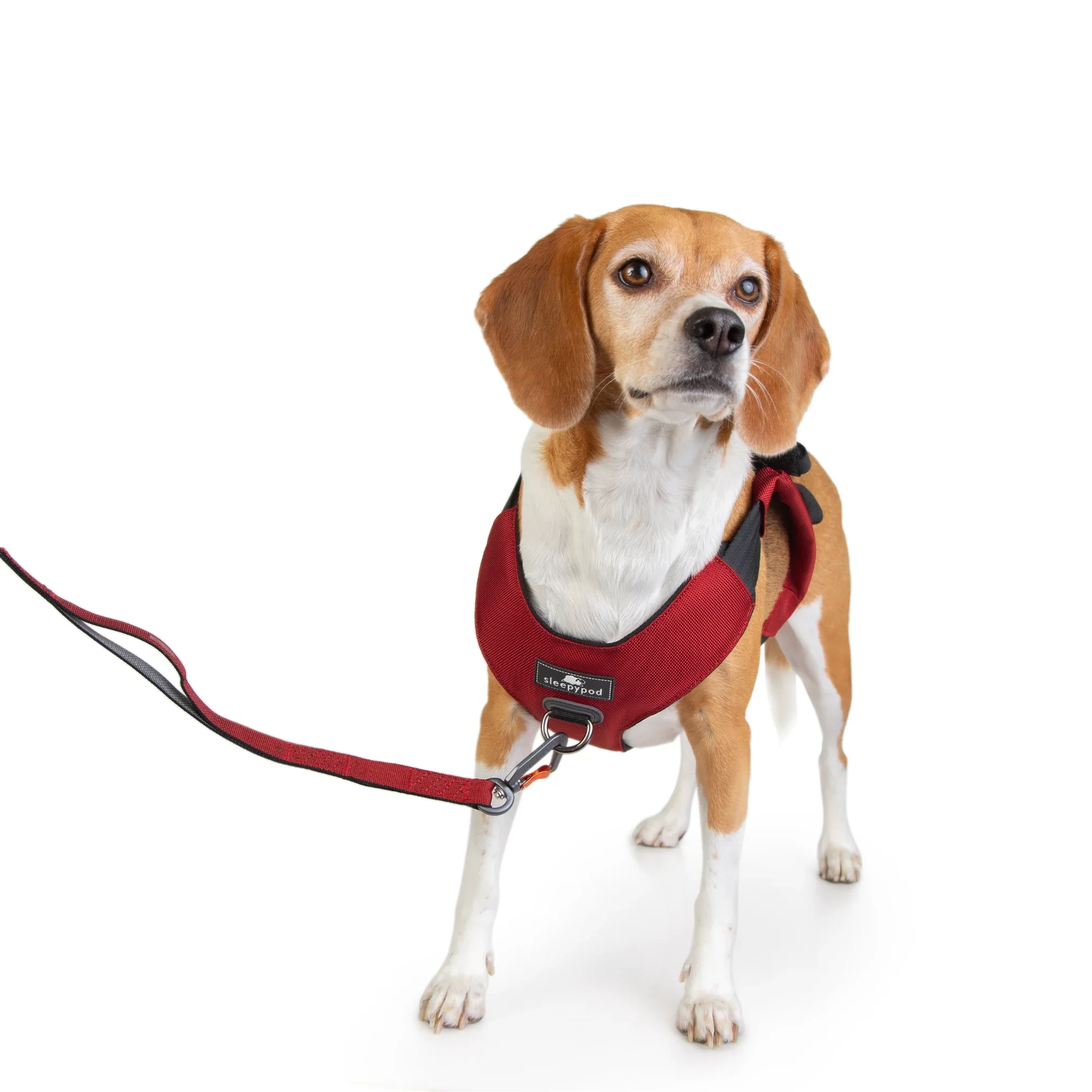 Sleepypod Clickit Range Harness - Next Generation Car Safety - Image 25