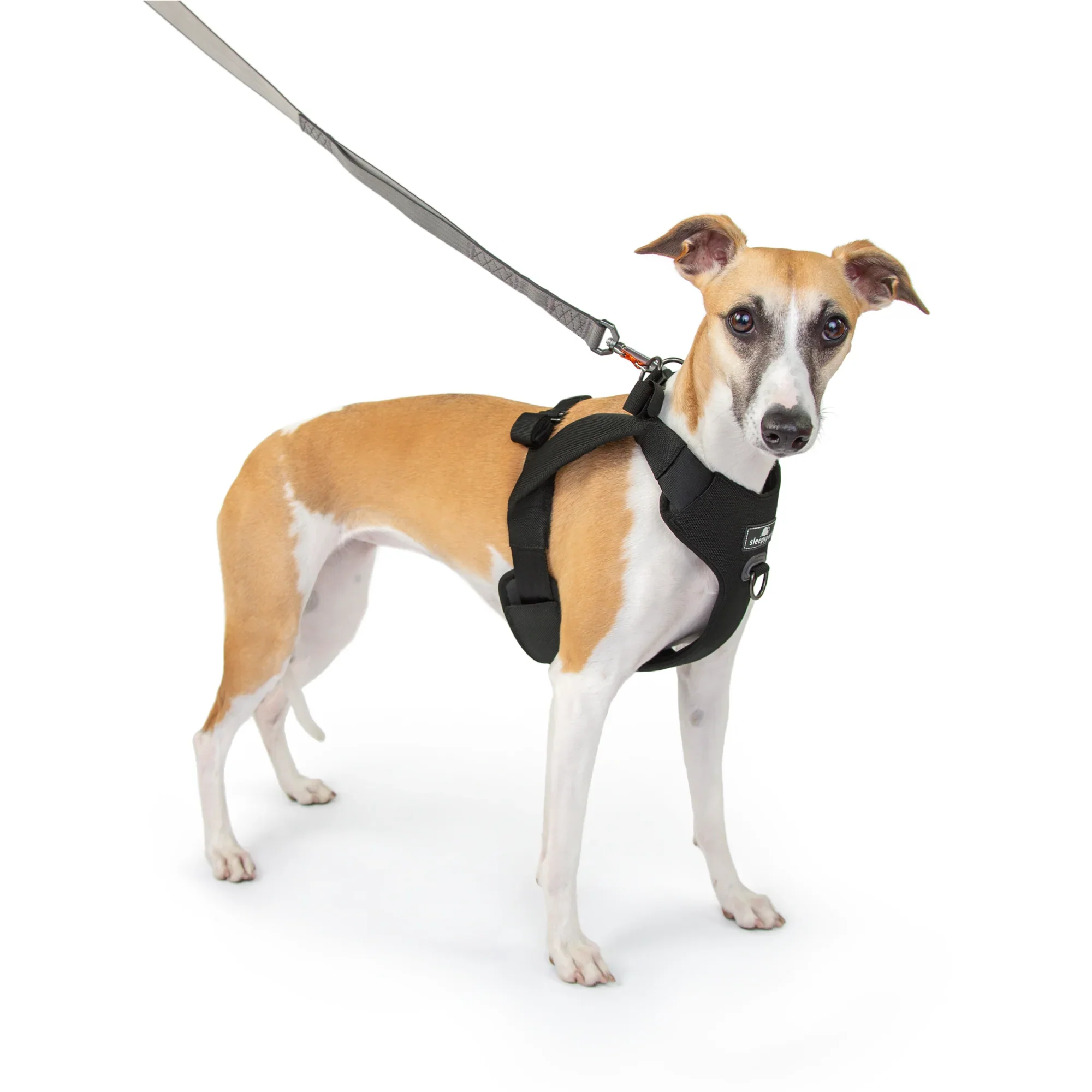 Sleepypod Clickit Range Harness - Next Generation Car Safety - Image 26
