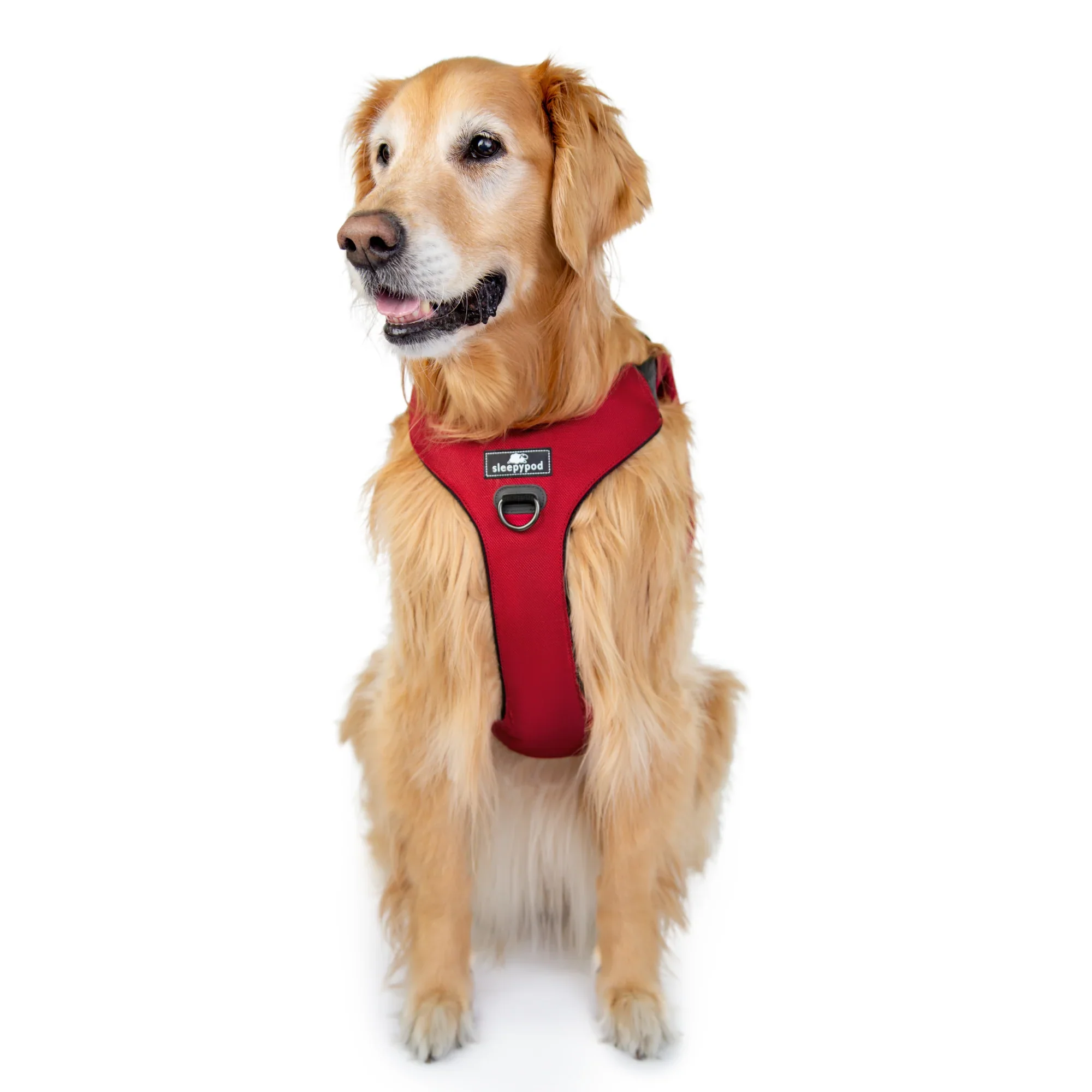 Sleepypod Clickit Range Harness - Next Generation Car Safety - Image 27