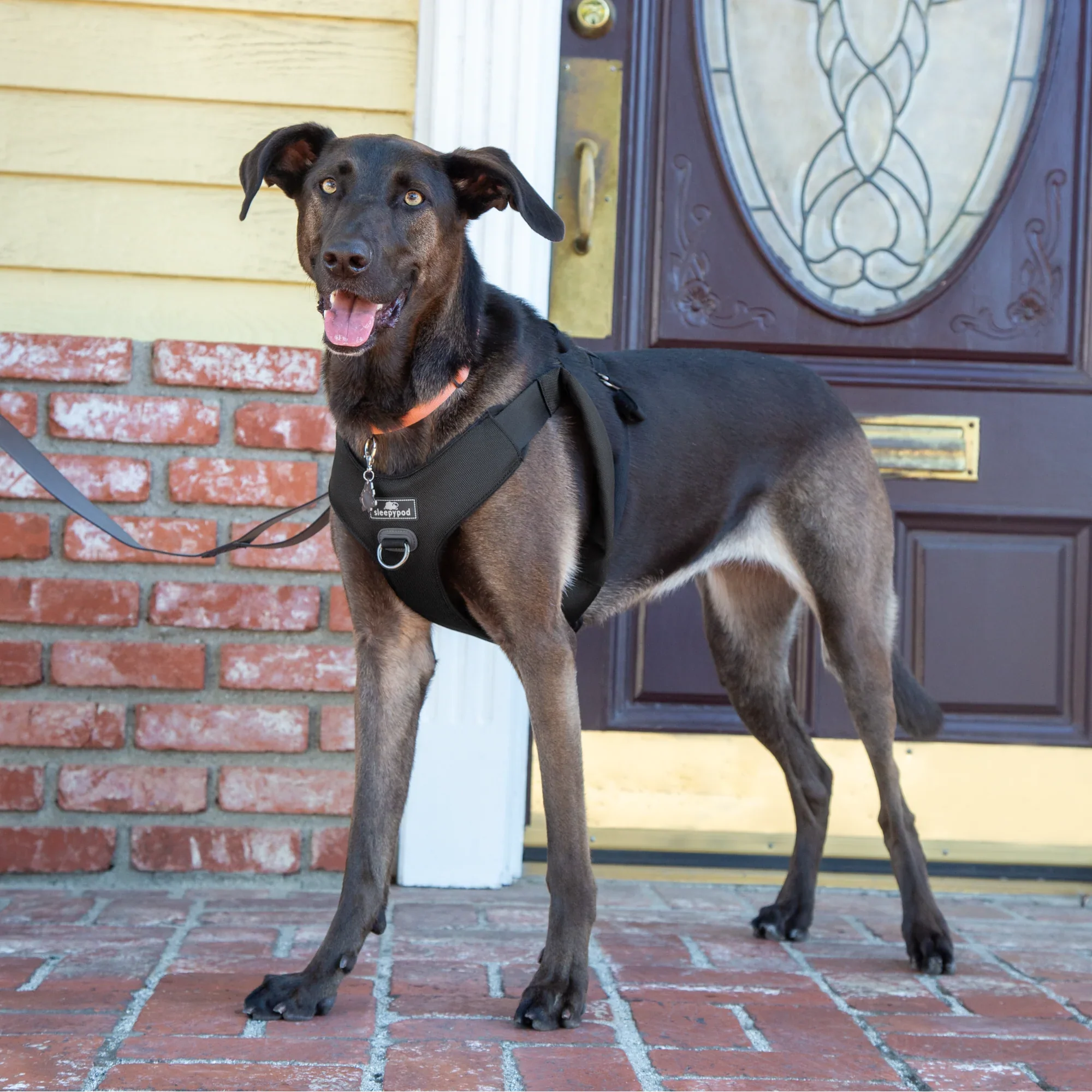 Sleepypod Clickit Range Harness - Next Generation Car Safety - Image 28