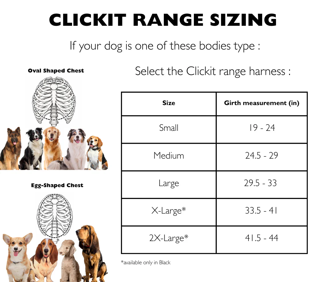 Sleepypod Clickit Range Harness - Next Generation Car Safety - Image 3