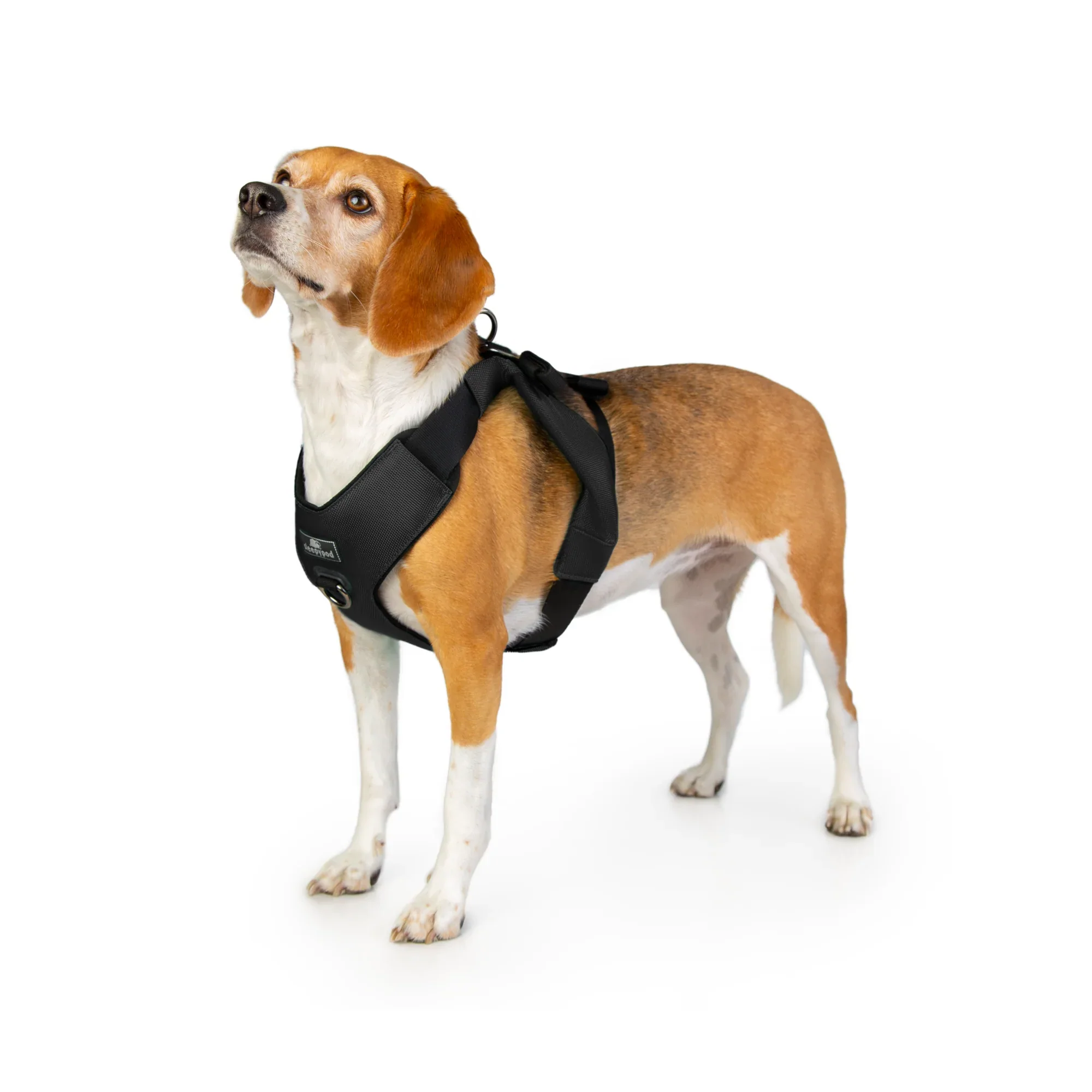 Sleepypod Clickit Range Harness - Next Generation Car Safety - Image 33