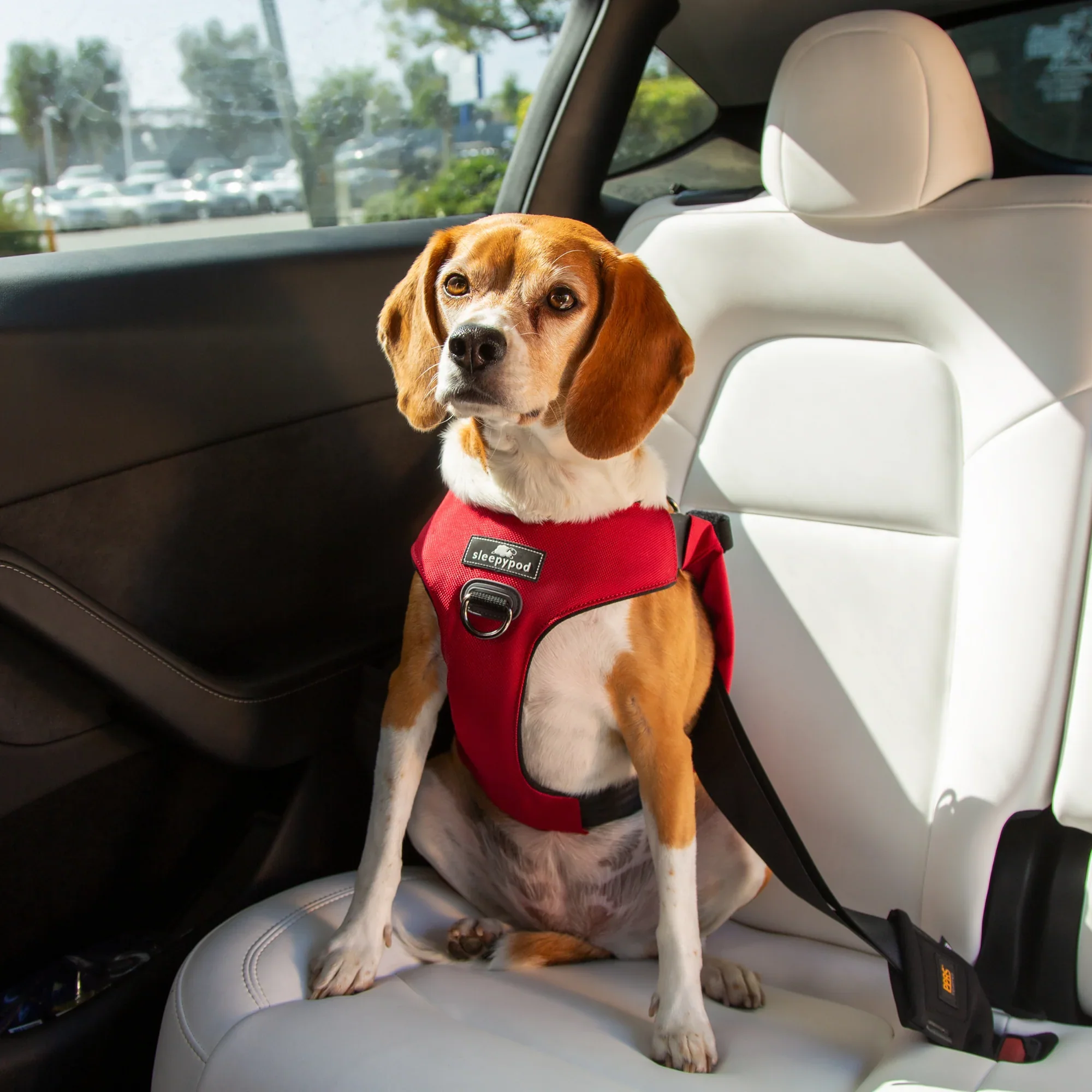 Sleepypod Clickit Range Harness - Next Generation Car Safety - Image 6
