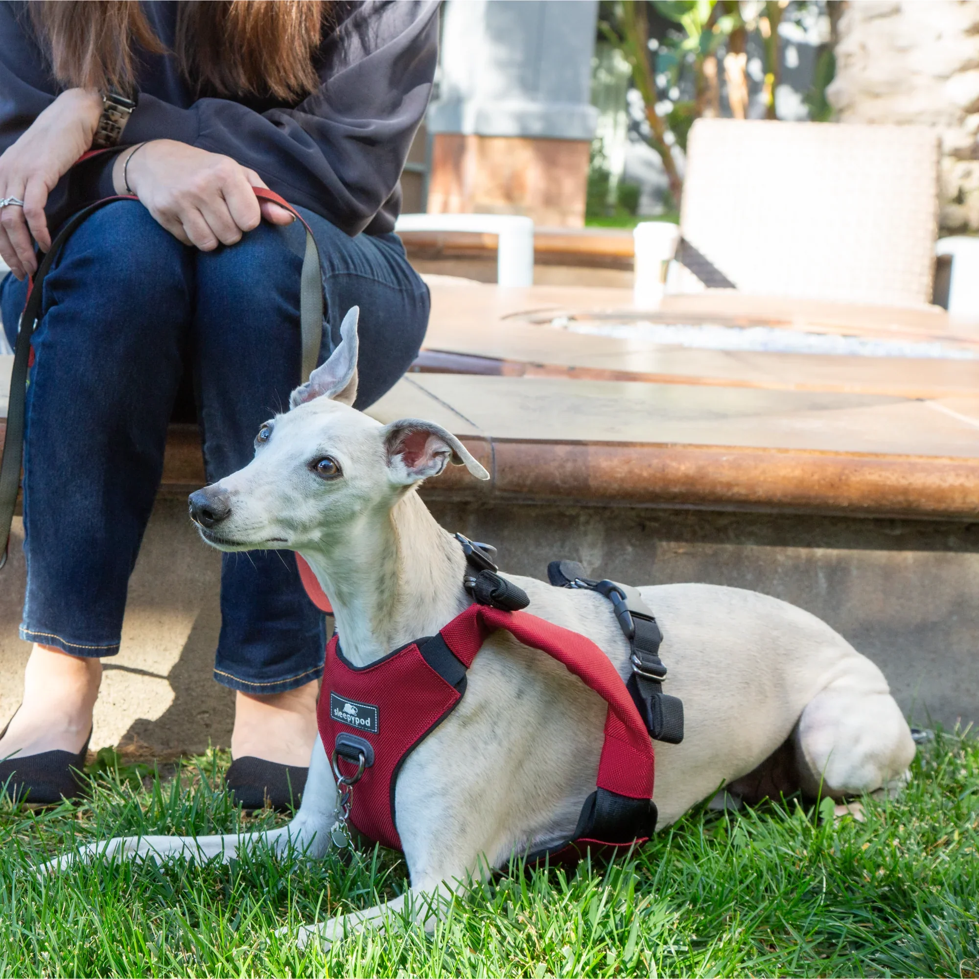 Sleepypod Clickit Range Harness - Next Generation Car Safety - Image 8