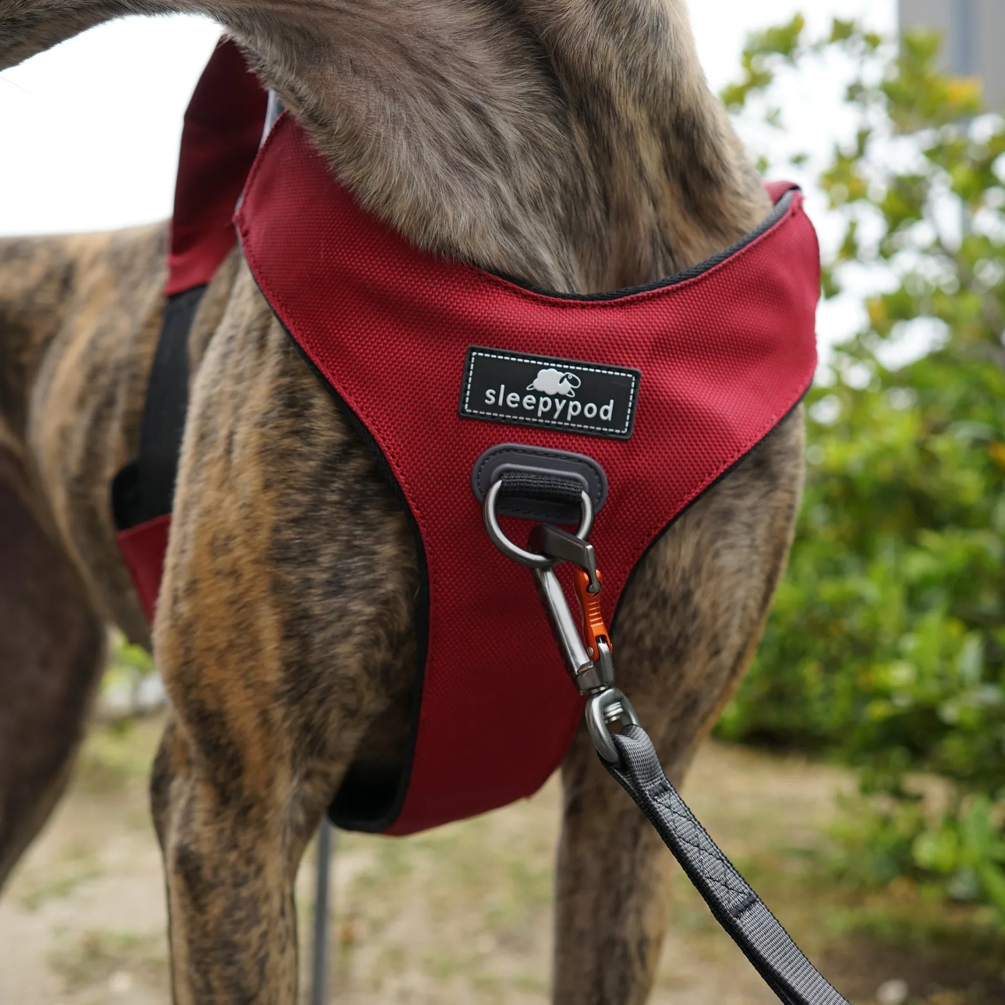 Sleepypod Clickit Range Harness - Next Generation Car Safety - Image 9