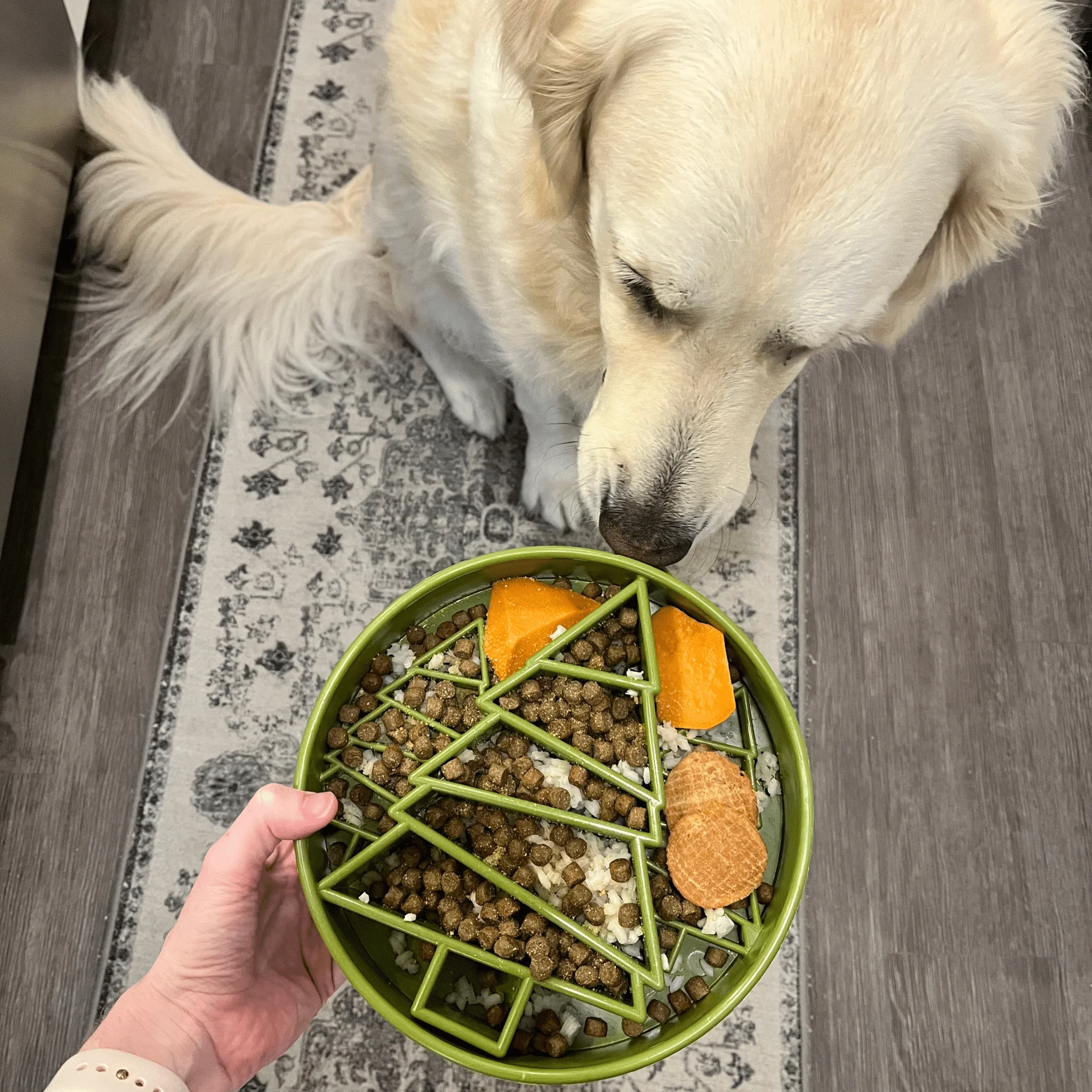 Slow Feeder Dog Bowls - Image 12