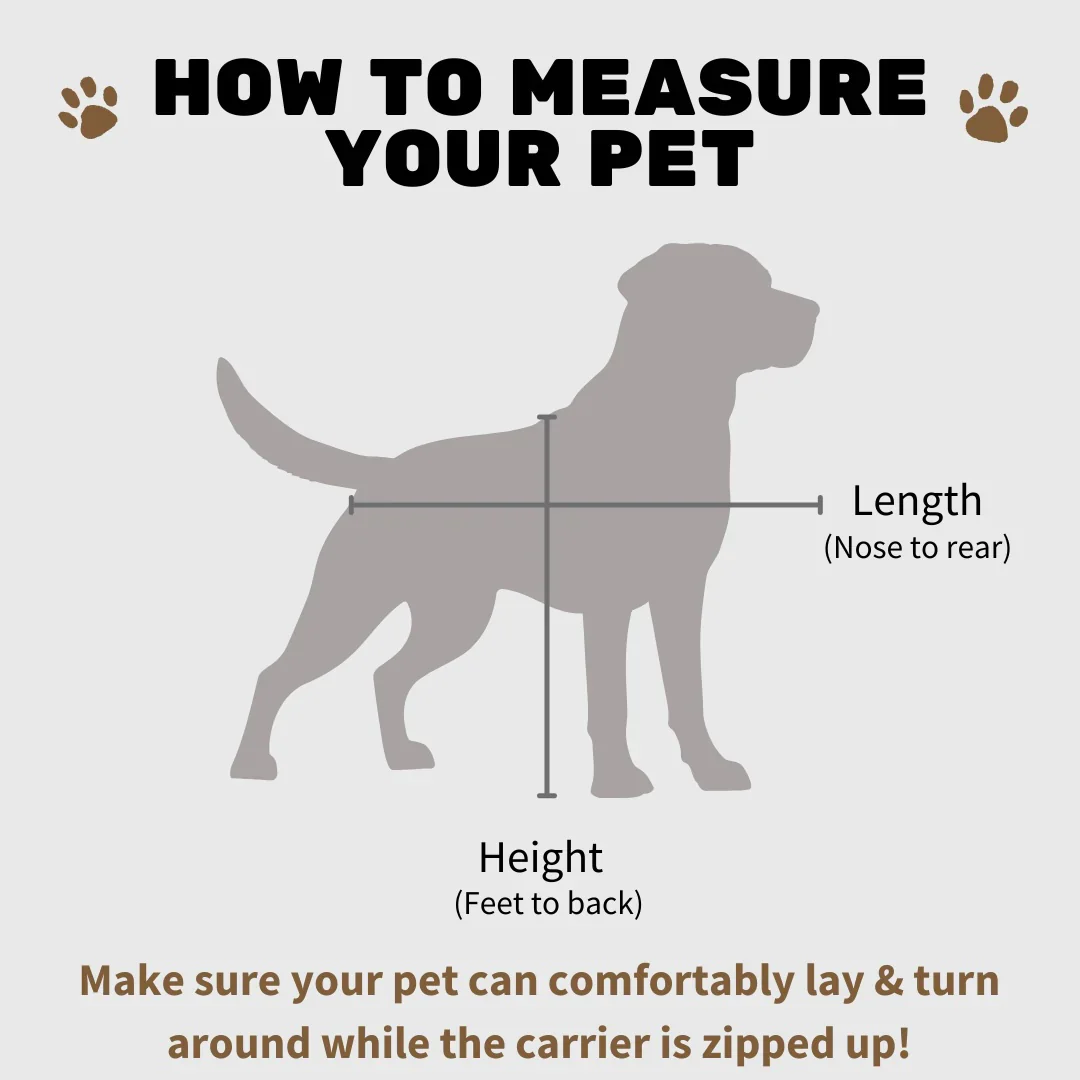 SturdiBag™ Pro - Large, Airline Compliant Premium Pet Carrier - Image 3