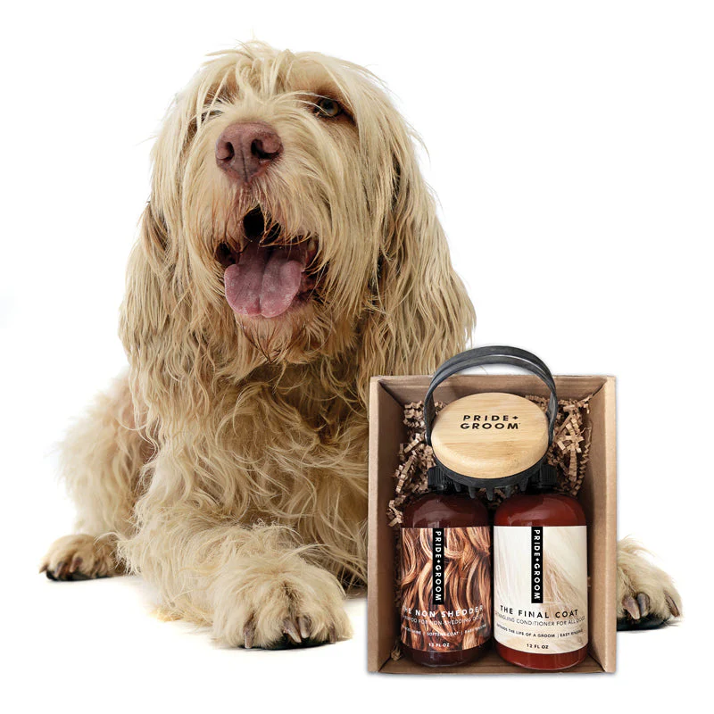 THE BATH BRUSH Dual-Use Silicone Grooming Brush — De-Shedding, Massaging & Waterproof Tool for Dogs - Image 3