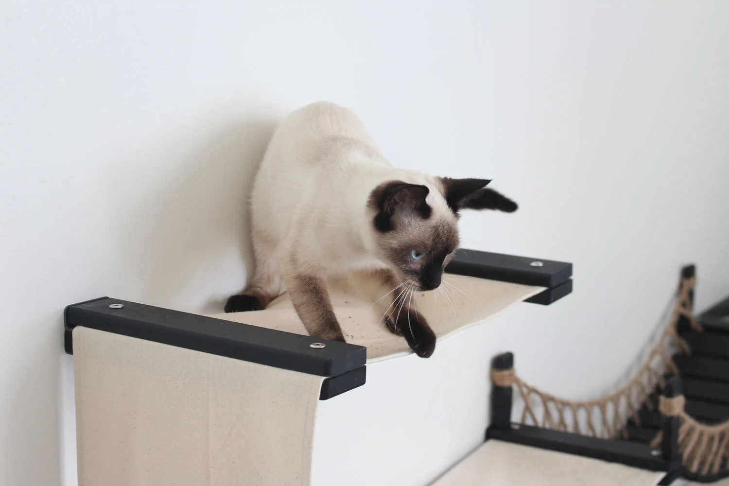 The Canyon - Our Best Cat Tree for Multiple Cats - Image 8