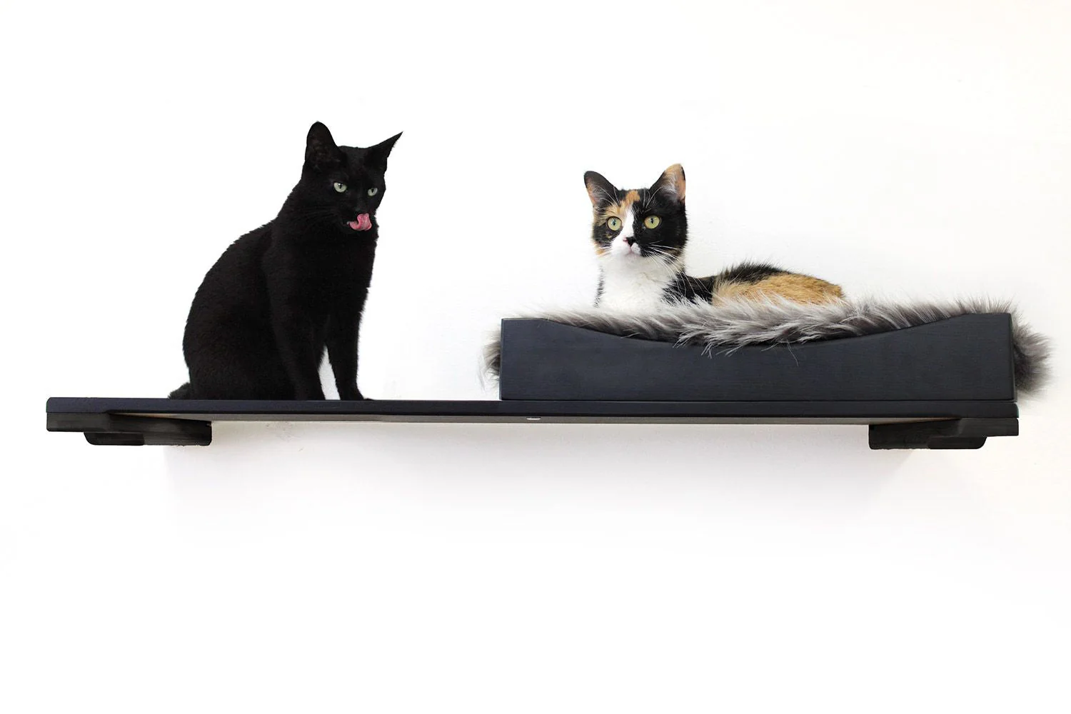 The Cat Nest Bed by Catastrophic Creations - Image 13