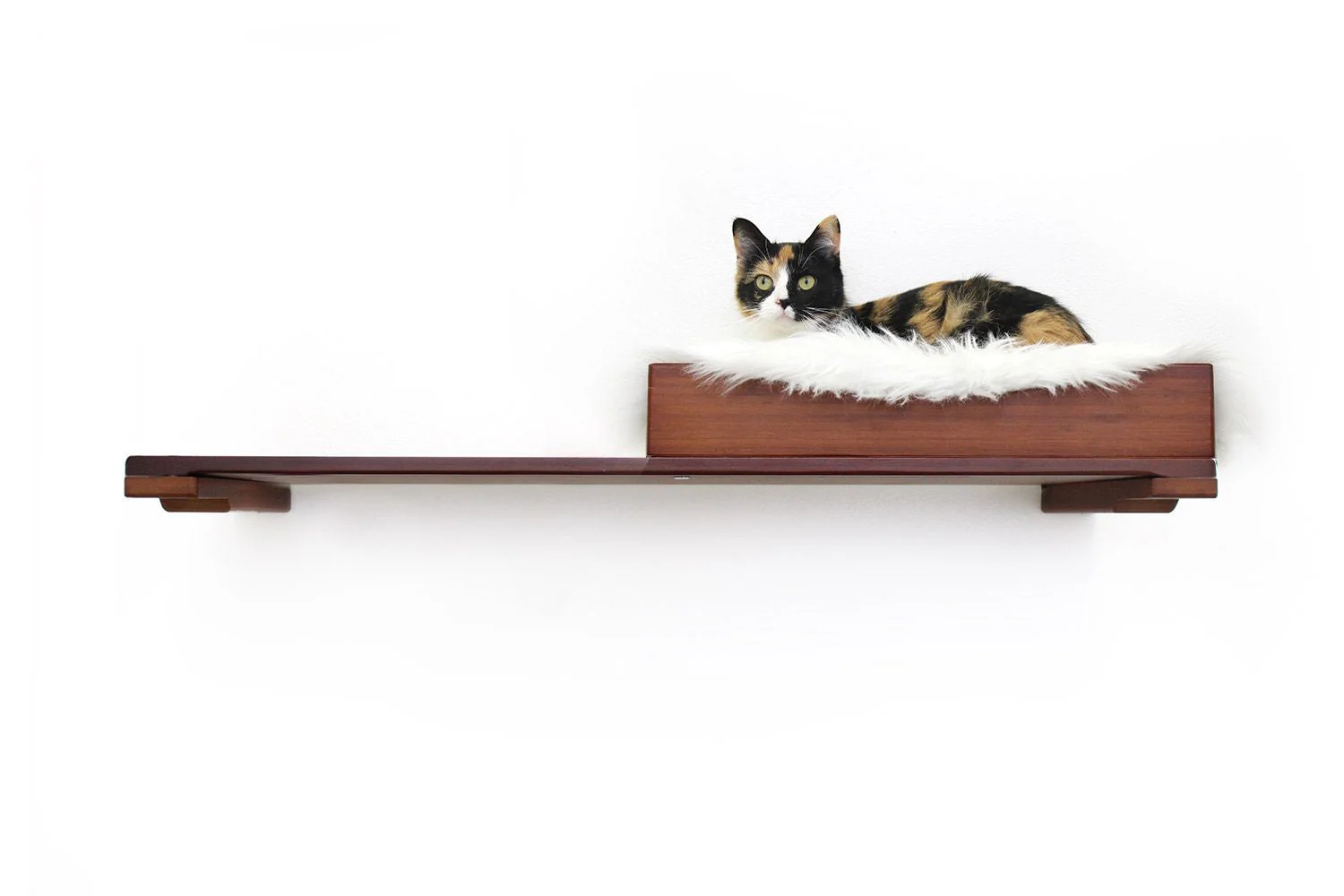 The Cat Nest Bed by Catastrophic Creations - Image 25