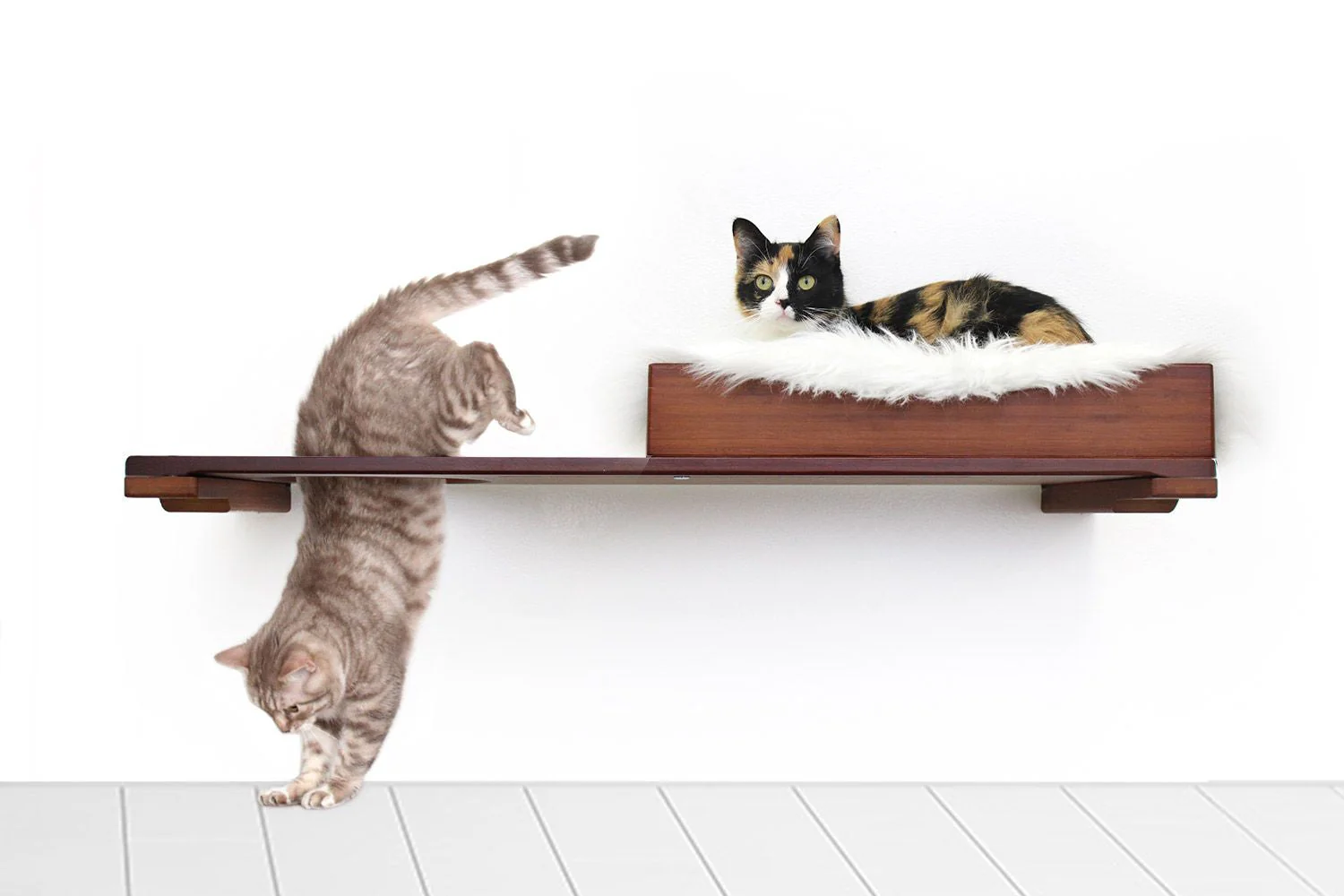 The Cat Nest Bed by Catastrophic Creations - Image 26