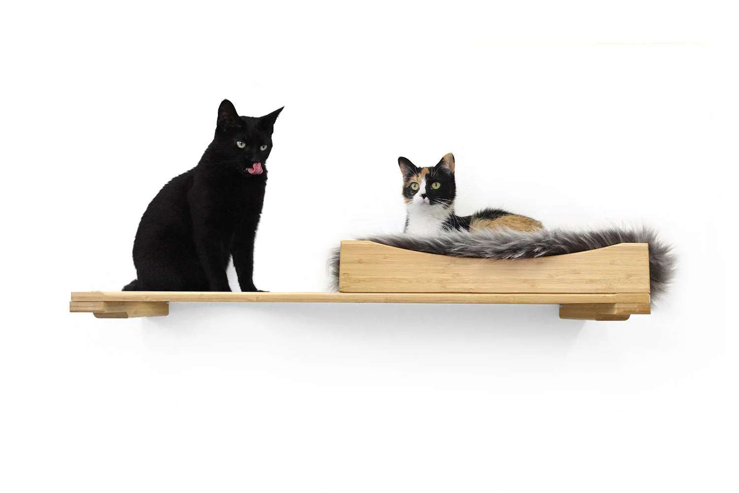 The Cat Nest Bed by Catastrophic Creations - Image 31