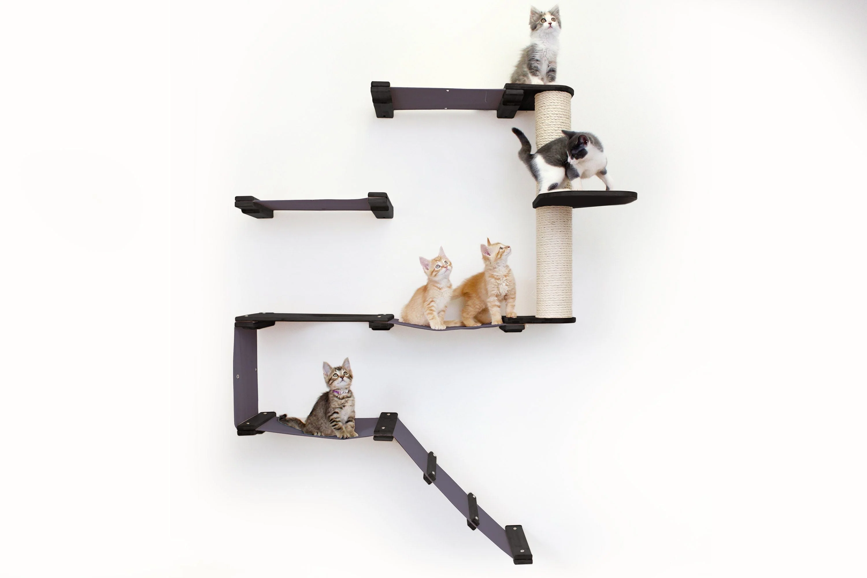 The Deluxe Cat Fort - Modern Cat Condo - Image 32