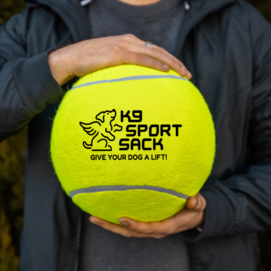 Too Big to Chew Tennis Ball - Image 4