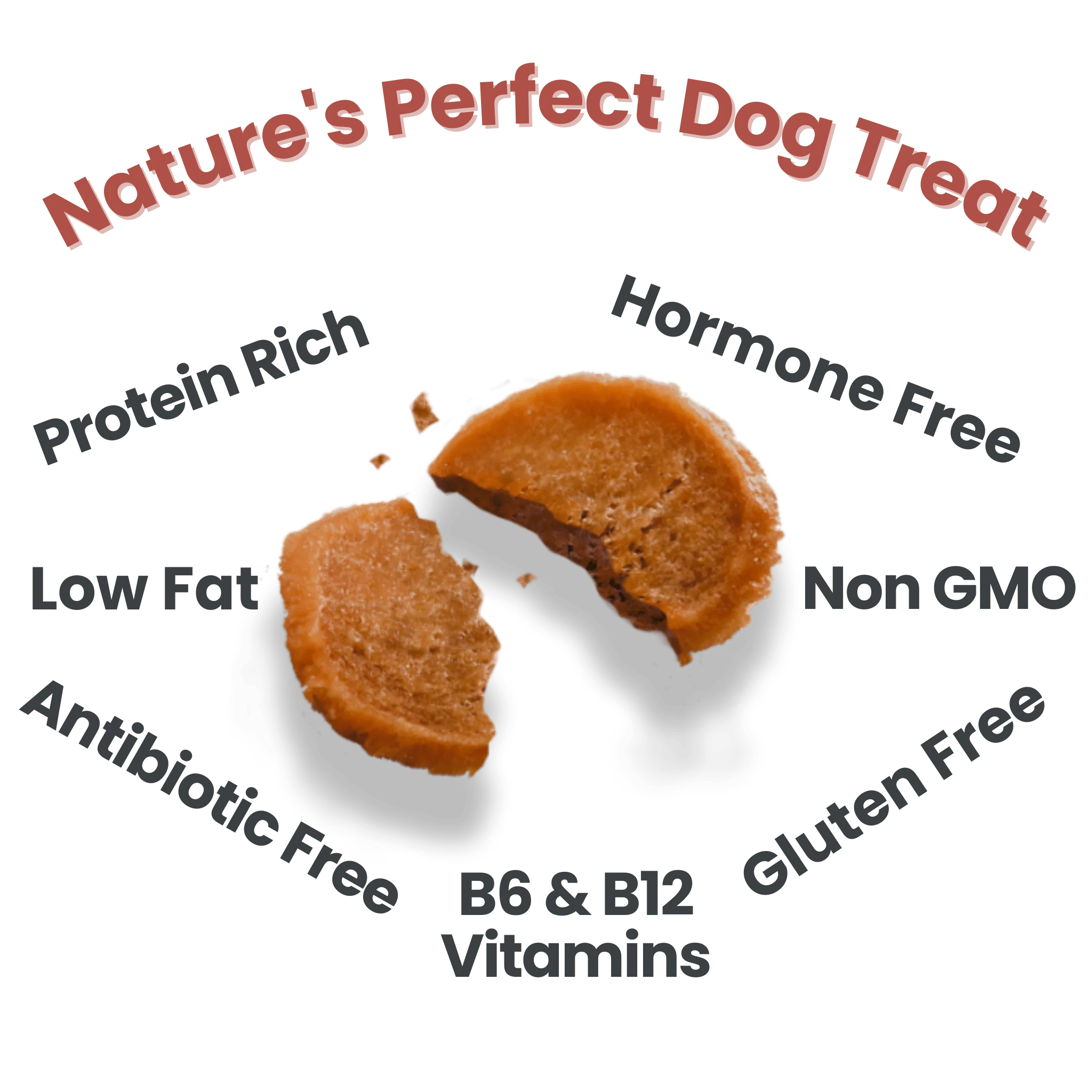 Turkey Chips for Dogs - Image 12