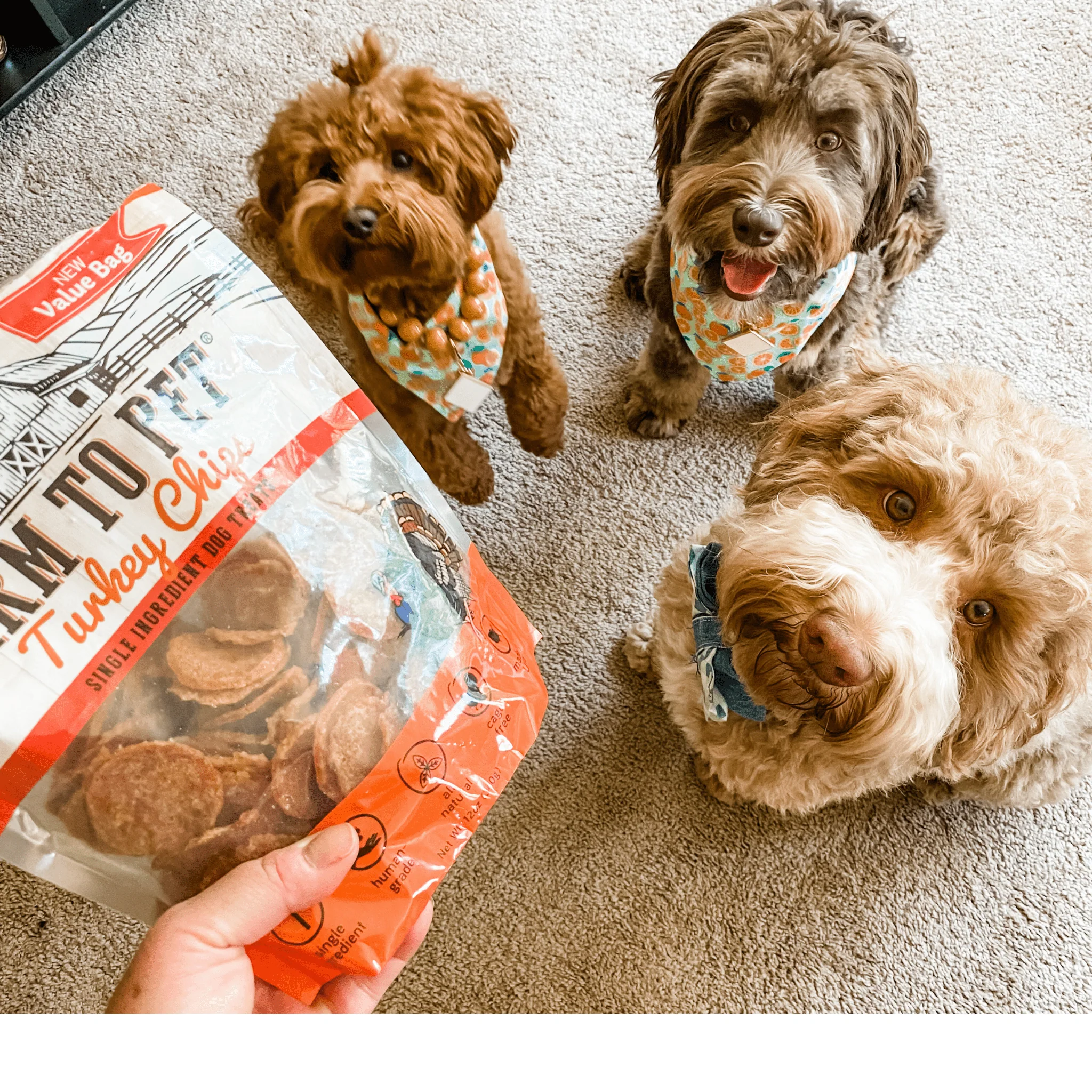 Turkey Chips for Dogs - Image 15