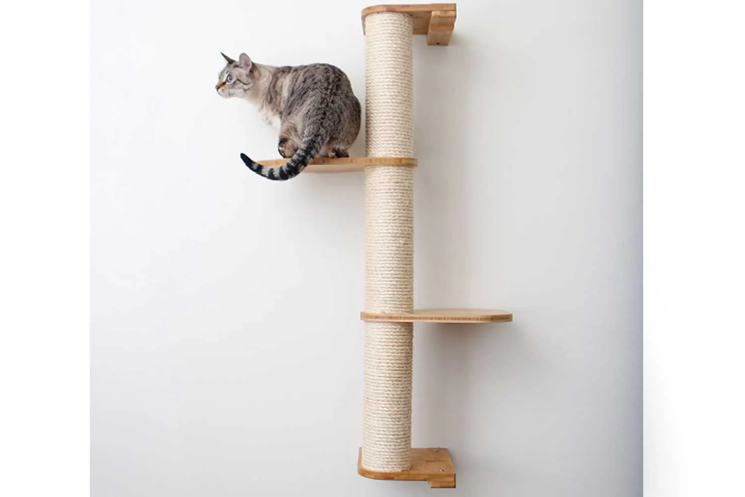 Catastrophic Creations Wall Mounted Cat Climbing Pole - Sisal - Image 8