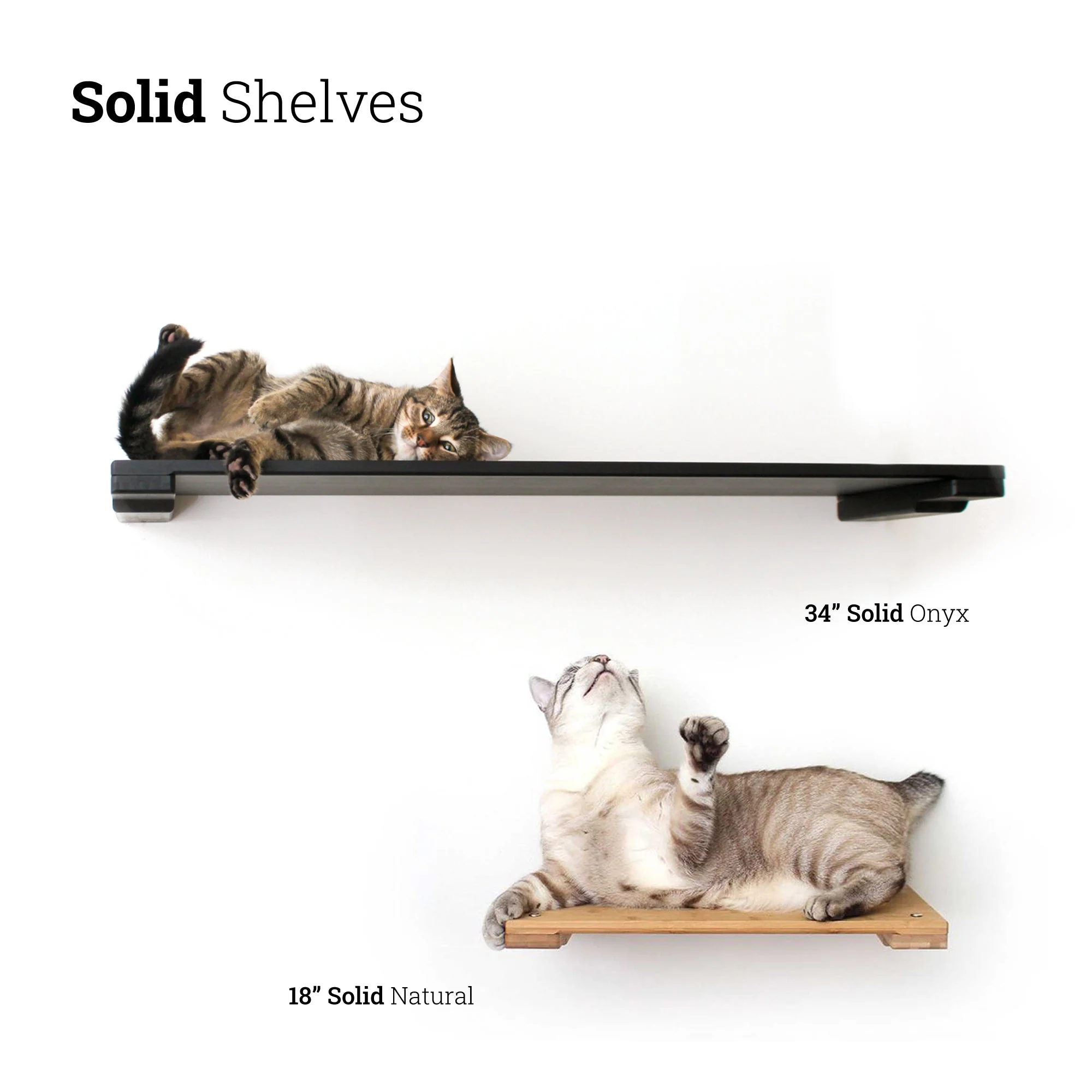 Catastrophic Creations Wall Mounted Cat Shelf - Image 5