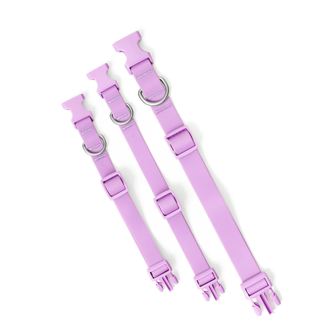 Waterproof Dog Collar - Image 31