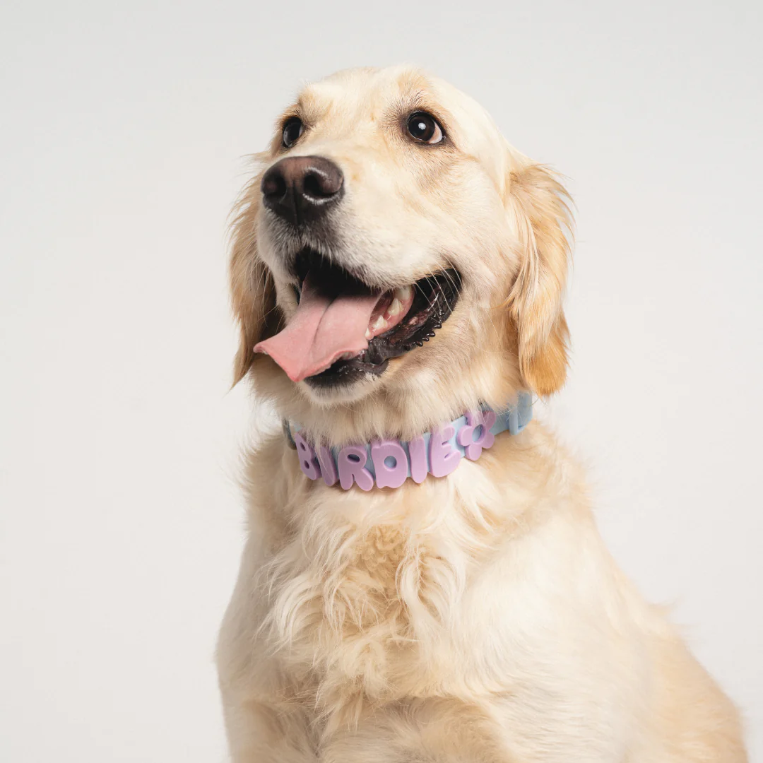 Waterproof Dog Collar - Image 33