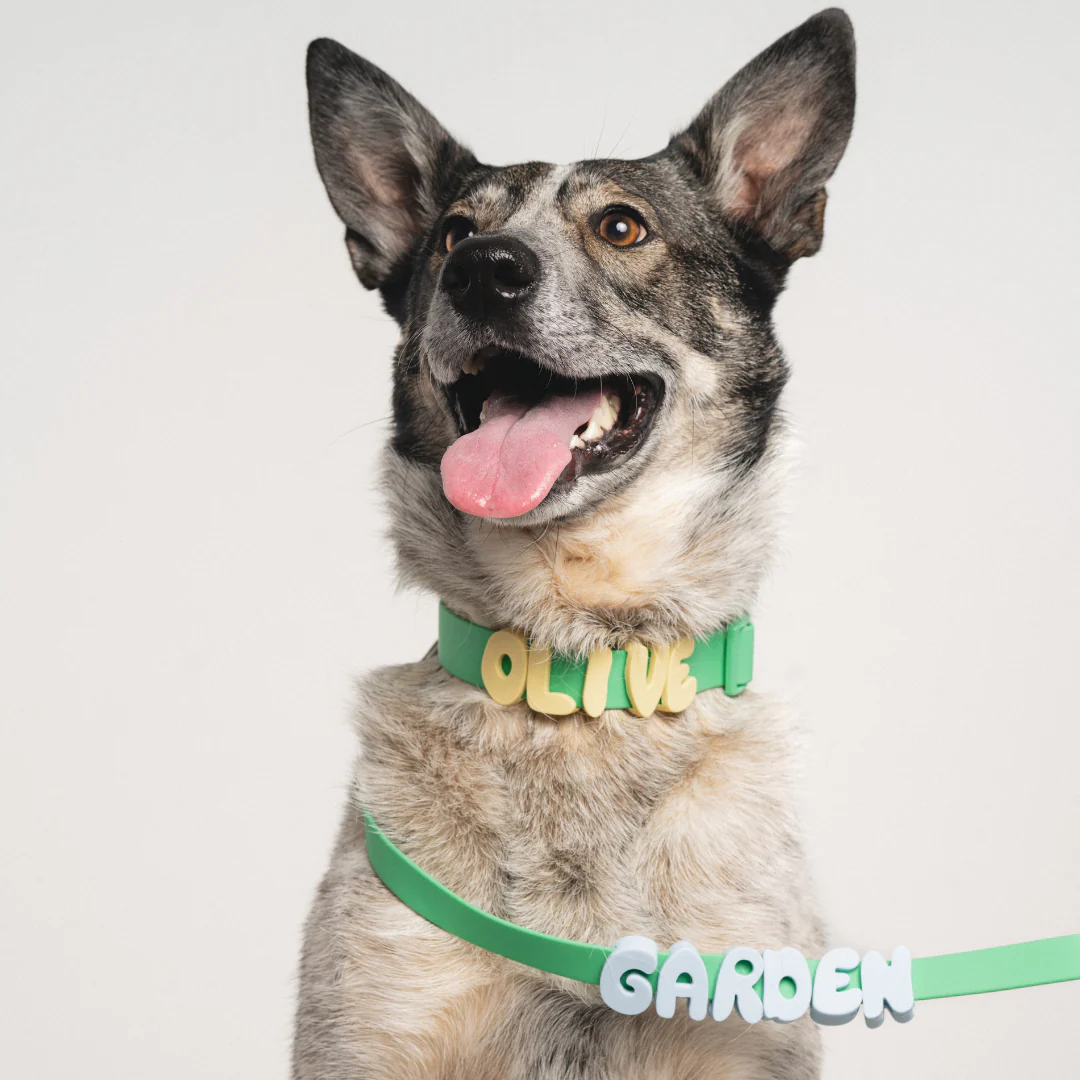 Waterproof Dog Collar - Image 5