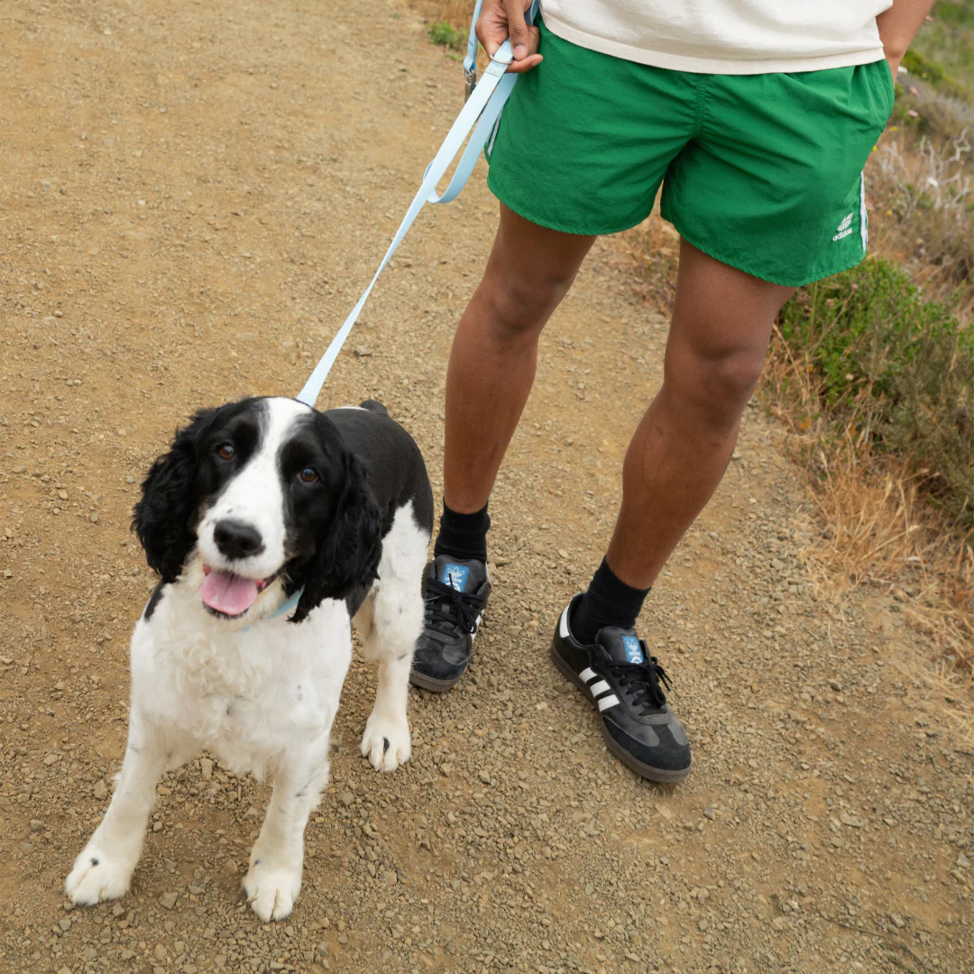 Waterproof Dog Leash - 5ft - Image 18