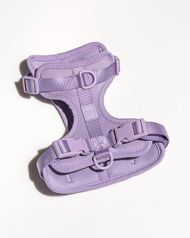 Wild One Adjustable Comfort Dog Harness - Image 19