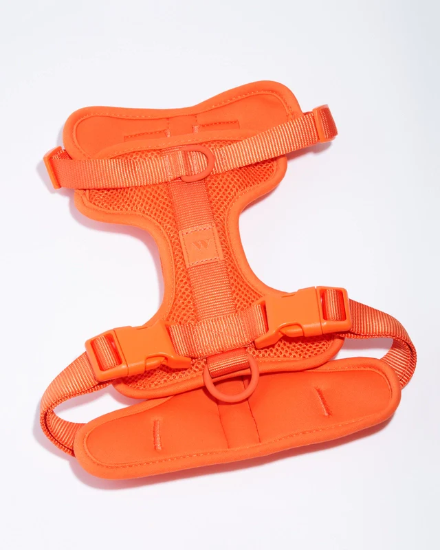 Wild One Adjustable Comfort Dog Harness - Image 5