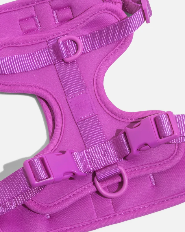 Wild One Adjustable Comfort Dog Harness - Image 7